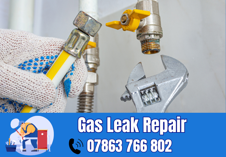 gas leak repair Bowdon