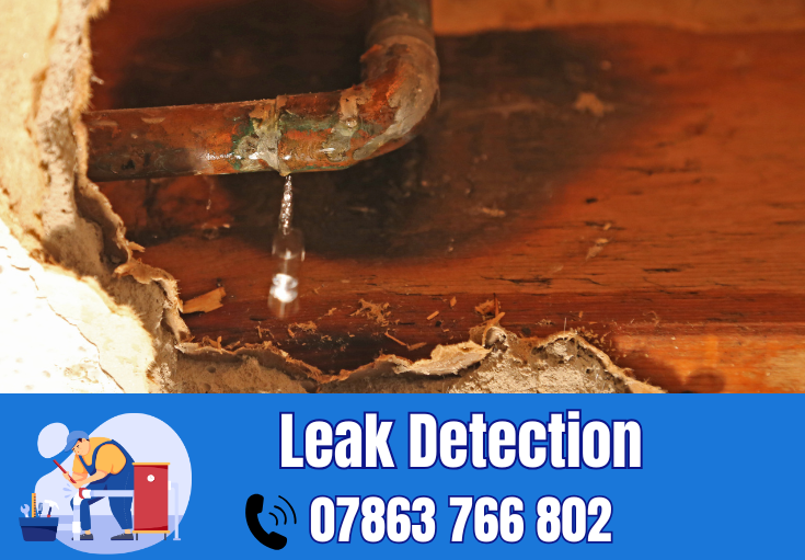 leak detection Bowdon