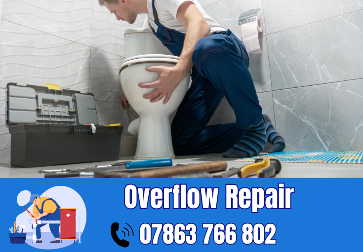 overflow repair Bowdon