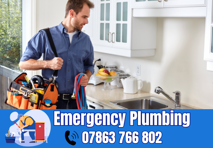  plumber Bowdon Vale
