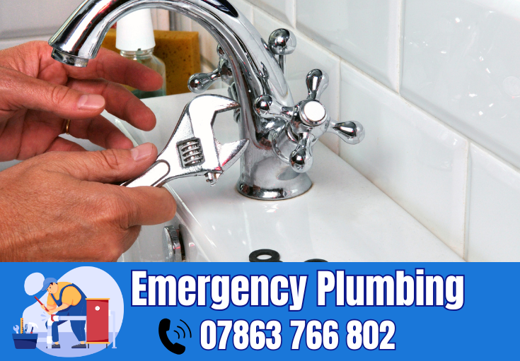  plumber Rostherne