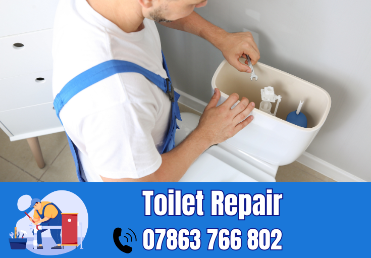 toilet repair Bowdon